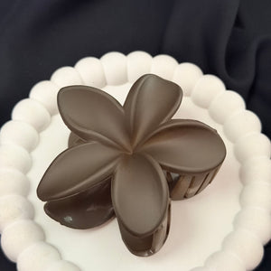 Cocoa