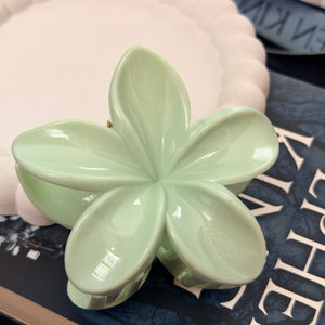 Mint